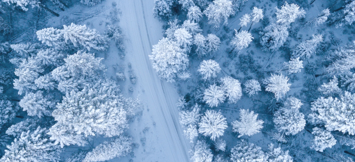 Wszystko dla miłośników snowboardu