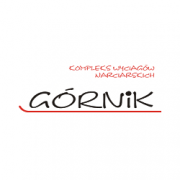 Logo Górnik