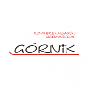 Górnik